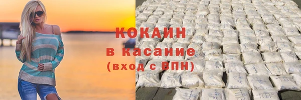 прущие грибы Переславль-Залесский
