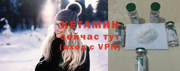 гашик Пестово