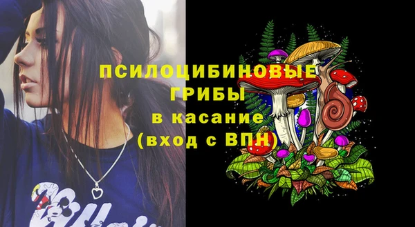 соль курить ск Алзамай