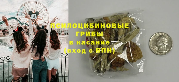 соль курить ск Алзамай